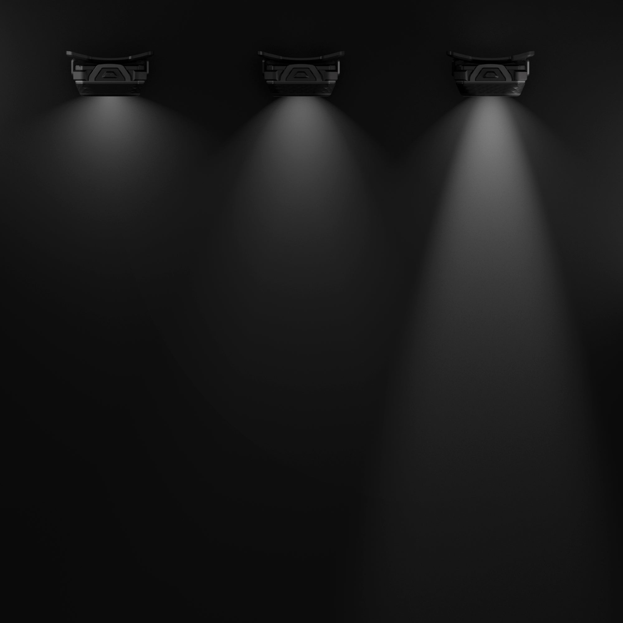 Discover Black